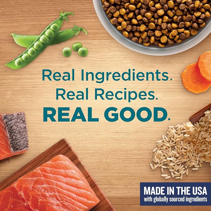 Nutrish Dry Cat Food, Salmon & Brown Rice Recipe, 5 lb. Bag (Rachael Ray) | Suitable for Cats of All Life Stages, No Artificial Flavors, Nature Food with Added Vitamins, Minerals & Nutrients