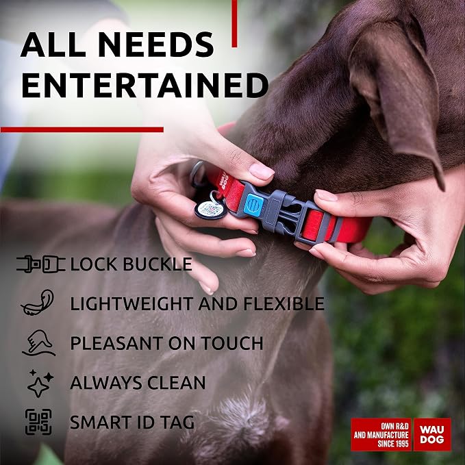 WAUDOG Waterproof Dog Collar Airtag Holder QR Tag Small Medium Large Dogs | Water and Dirt Resistant, Quick Dry QR Pet Tag Adjustable Durable Comfort for Male and Female Dogs Outdoor Walking Training