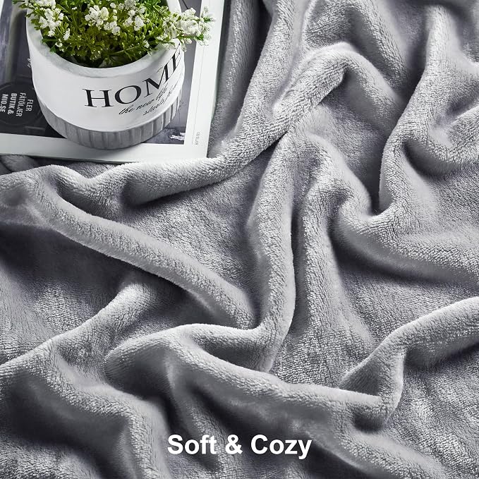 DREAMNINE Pack of 21 Fuzzy Fleece Throw Blanket for Couch Sofa 50" x 60", Decorative Solid Lightweight Velvet Blankets for Chair, Cozy Accent Shaggy Micro Plush Flannel Blanket for Bedroom, Grey