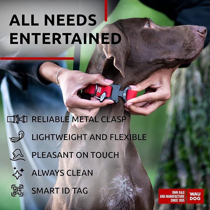 WAUDOG Waterproof Dog Collar Airtag Holder QR Tag Small Medium Large Dogs | Water and Dirt Resistant, Quick Dry QR Pet Tag Adjustable Durable Comfort for Male and Female Dogs Outdoor Walking Training