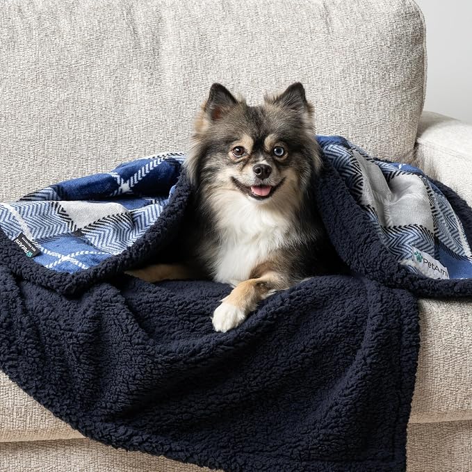 PetAmi Waterproof Dog Blanket for Small Puppy Cat, 29x40, Plaid Light Grey | 460 GSM Sherpa Fleece Reversible, Pee Proof Pet Blanket, Furniture Protector Cover for Couch Sofa Kennel Crate, Washable
