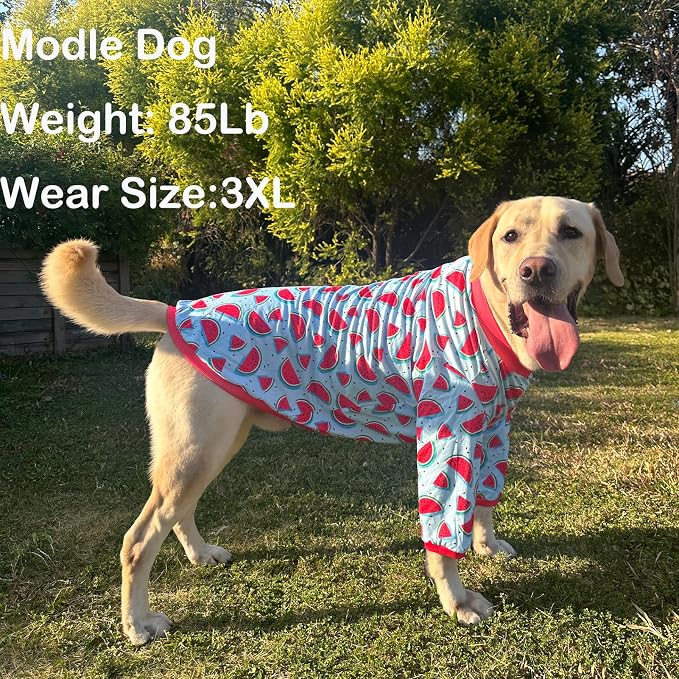 Dog Blue T Shirts Watermelon Pattern Printed Pet Shirt Softable Pajamas for Small Dogs (XL,Watermelon)
