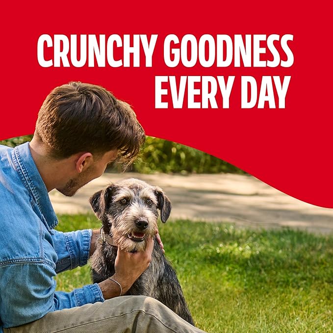 Milk-Bone Crunchy Medium Dog Treats, 24 Oz. Box, Original Beef Flavor
