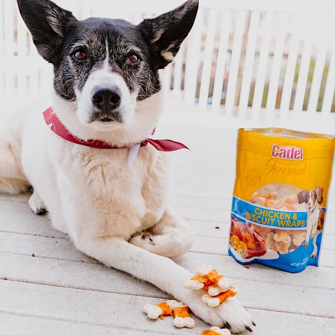 Cadet Gourmet Chicken Wrapped Biscuits Dog Treats, 14 oz | Made with real chicken, dog treats wraps, crunchy healthy dog treats, great for training, for small & large breeds