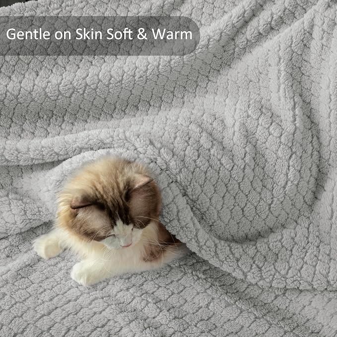 Exclusivo Mezcla Soft Fleece Twin Size Blanket for Bed, Light Grey | Jacquard Lightweight Cozy Bed Blanket, Breathable Decorative Fuzzy Textured All Season Use, 60x80 Inches