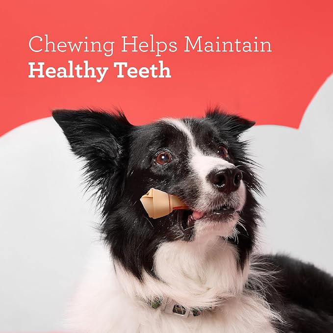 DreamBone Medium Bone Rawhide-Free Dog Treats With Real Protein, 4 Count | Daily Chew, Digests Safely and Completely, Made With Real Chicken and Veggies, For Adult Dogs