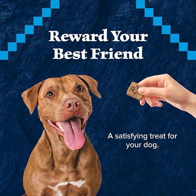 Blue Buffalo Wilderness Trail Treats Duck Crunchy Dog Biscuits, 10 oz | Real Duck #1 Ingredient, High Protein & Grain-Free Dog Snacks, Great for Training, No Artificial Preservatives