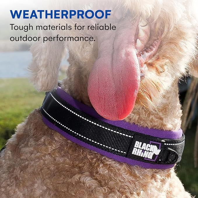 Black Rhino - The Comfort Collar Ultra Soft Neoprene Padded Dog Collar for All Breeds, Dog Collars for Large Dogs - Heavy Duty Adjustable Reflective Weatherproof (Small, Purple/Bl)