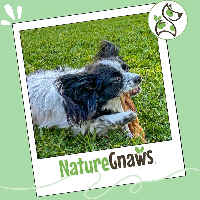 Nature Gnaws Braided Gnaws for Dogs 5-6" (12 Count) - Long Lasting for Small and Medium Dogs - Natural Beef Bully Stick Combo Braids - Rawhide Free