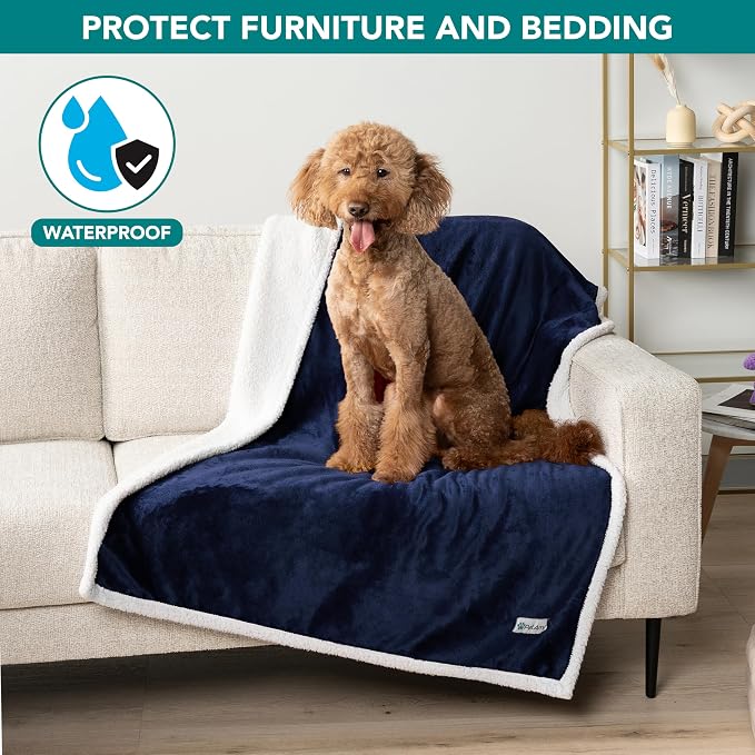 PetAmi Waterproof Dog Blanket for Medium Large Dog Pet, 60x40, Blue | 460 GSM Sherpa Fleece Reversible, Pee Proof Cat Blanket, Furniture Protector Cover for Couch Bed Sofa Kennel, Washable, Large