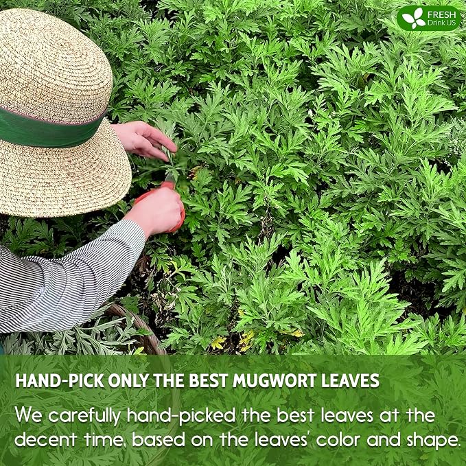 FreshDrinkUS, Premium 60 Mugwort Leaf Tea Bags, 100% Natural and Pure Mugwort Leaves. No Sugar, No Caffeine, No Gluten, Vegan.