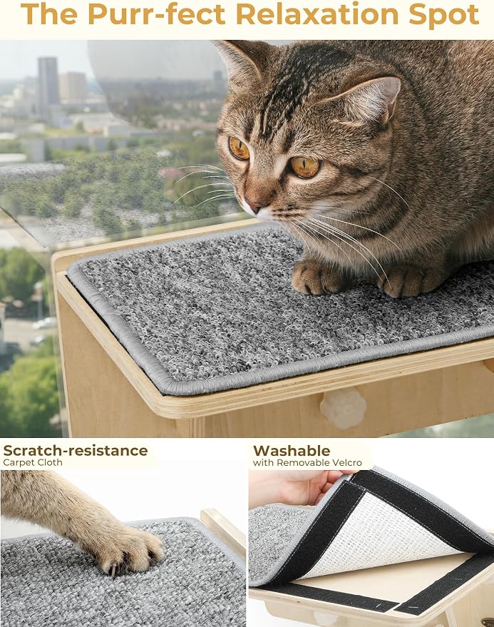 Pecute Double Cat Shelves with Scratching Post for Wall & Window | Solid Wood Frame, Strong Suction Cups, Washable Cover Mat, Cats Perch Bed for Birds Watching Inside, Indoor Cat Hammock Bed