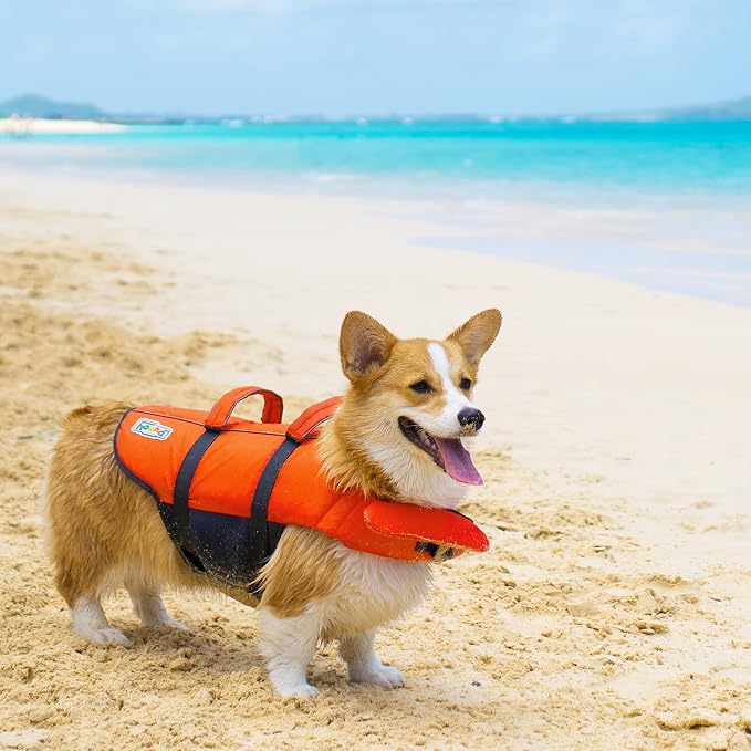 Outward Hound Granby Splash Dog Life Jacket, Life Vest, Orange, XL | Max Buoyancy, Adjustable Fit, Head/Neck Support, Rescue Handle, Reflective, Swimming & Boating, XL Dogs (33–44" Girth)