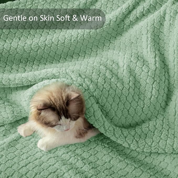 Exclusivo Mezcla Soft Fleece Throw Blanket for Couch, Sage Green | Jacquard Lightweight Cozy Throws for Bed, Sofa, Breathable Decorative Fuzzy Textured All Season Use, 50x60 Inches