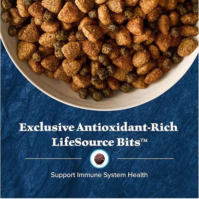 Blue Buffalo Wilderness Rocky Mountain Recipe Adult Dry Dog Food, 13 lb | 31g Protein, Real Beef #1 Ingredient, High Protein Red Meat with Wholesome Grains, Antioxidant-Rich Fruits & Veggies