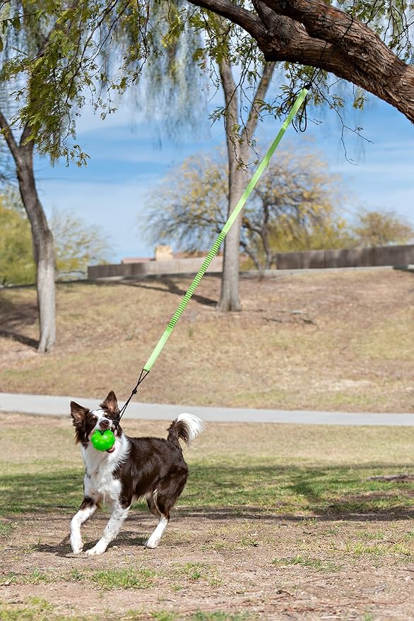 Jolly Pets Tree Tugger for Dog, Green (Pack of 12)