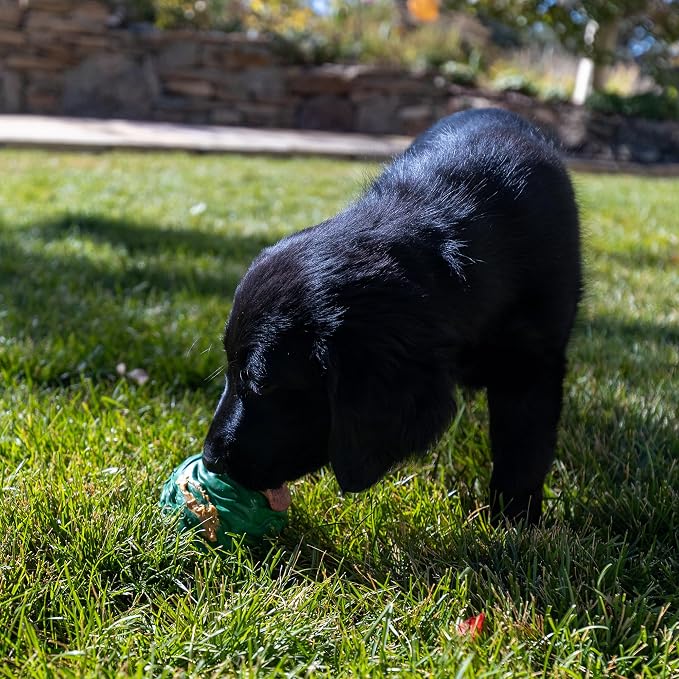 PetKORE Luna Ball - 4" Large, Green, Dog & Puppy Toy, Flexible Rubber, Teething & Chewing, Tactile Surface, Bounce & Fetch, Pet Indoor-Outdoor Play