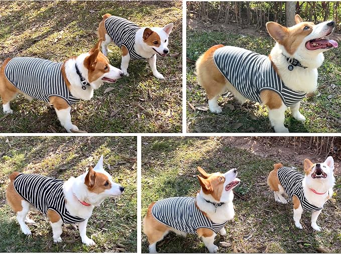 Koneseve Dog Shirt Vest Lightweight Stretchy Dog T-Shirts Soft Cool Sleeveless Stripe Vests Breathable Clothes for Puppy Kitty Cats Small Medium Large Dogs 2 Pack Black + Grey [ 5XL ]