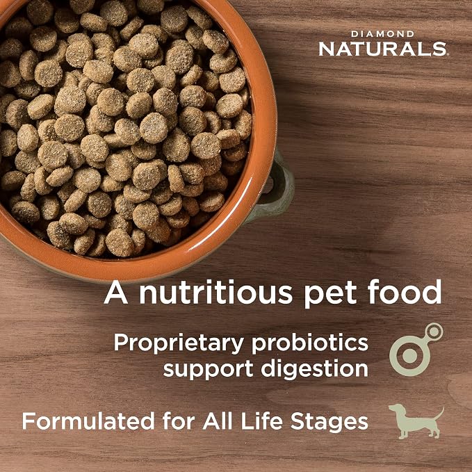 Diamond Naturals Skin & Coat Puppy, Adult & Senior Dry Dog Food Salmon 30lb | Real Salmon & Potato | Omega Fatty Acids Help Support Healthy Skin & Shiny Coat | Guaranteed Probiotics & Superfoods