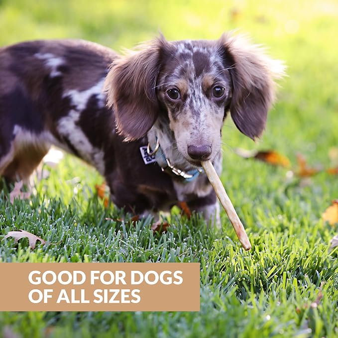 Wild Eats Turkey Collagen Sticks for Dogs (15 Pack, 1 cm Wide) Long Lasting Dog Chews No Hide Dog Treat Bully Stick Alternative, Rawhide Free, Grain Free, High Protein | Rawhide and grain free no hide chew treats, 1 cm chew width, high protein, long la...