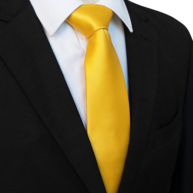 JEMYGINS Solid Color Tie Mens Necktie for Business and Wedding