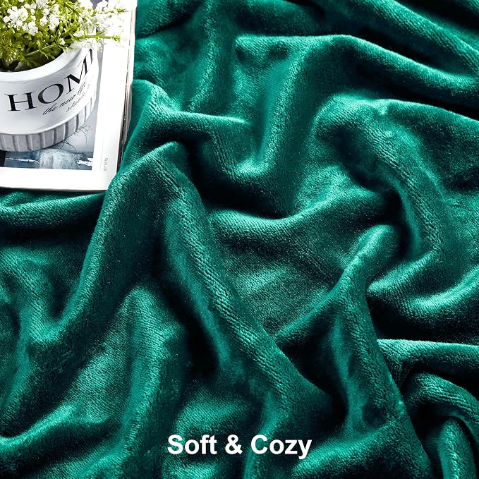 DREAMNINE Soft Cozy Plush Fleece Throw Blanket 50" x 60",Solid Shag Minky Lightweight Fuzzy Flannel Blanket for Bedroom, Luxury Washable Warm Velvet Blankets for Couch Sofa Pet,Breathable,Forest Green