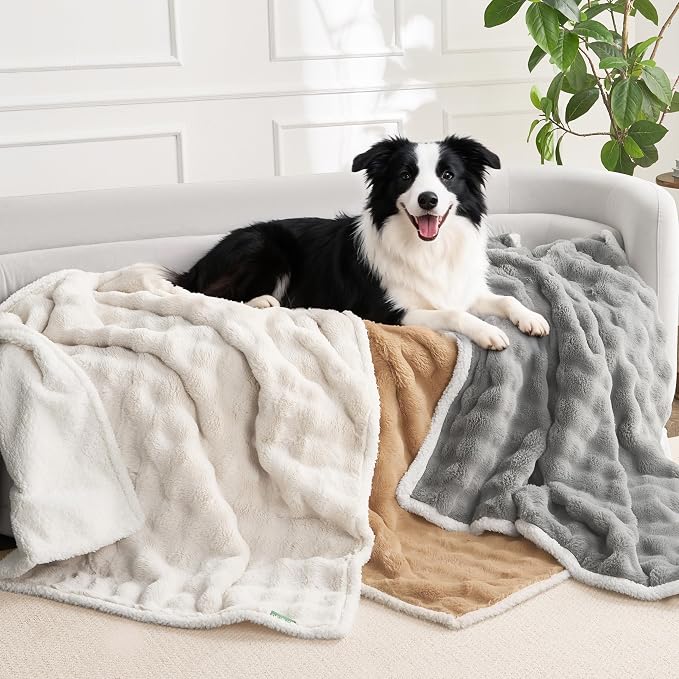 Soft Cozy Waterproof Dog Blanket for Couch - Room Decor Medium Pet Blanket for Furniture Protector, Washable Calming Dog Crate Blankets for Indoors & Outdoors, Khaki, 40"x50"
