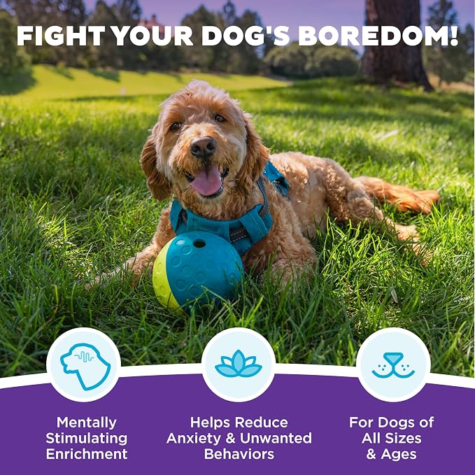 Outward Hound Nina Ottosson Treat Tumble Dog Toy Puzzle Ball, 4.8" | Level 1 Easy, Food-Dispensing Ball, Holds 1 Cup Kibble or Treats, No BPA, Interactive Enrichment, Dogs & Puppies