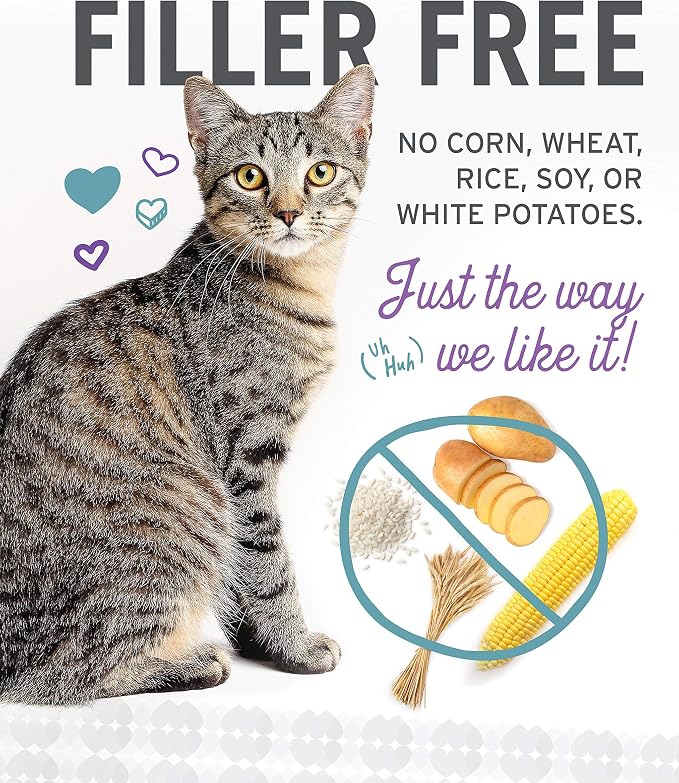 I AND LOVE AND YOU Wet Cat Food, Ninja Cat Stew Variety Pack | 12 Pack | Grain-free stews with chicken, salmon, and tuna recipes in savory gravy. 3oz cans with no fillers.