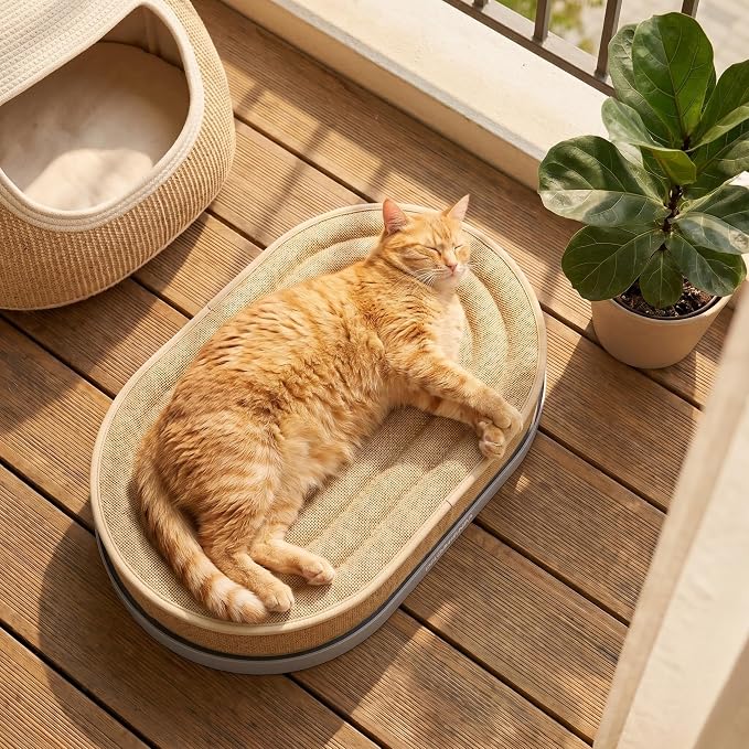 Large Sisal Cat Scratcher Lounge, 2-in-1 Cat Bed with Durable Base & Plush Foam Cushion, Non-Shedding Cat Scratching Pad for Indoor Cats,22"x14", No Mess Furniture Protector (Blue)