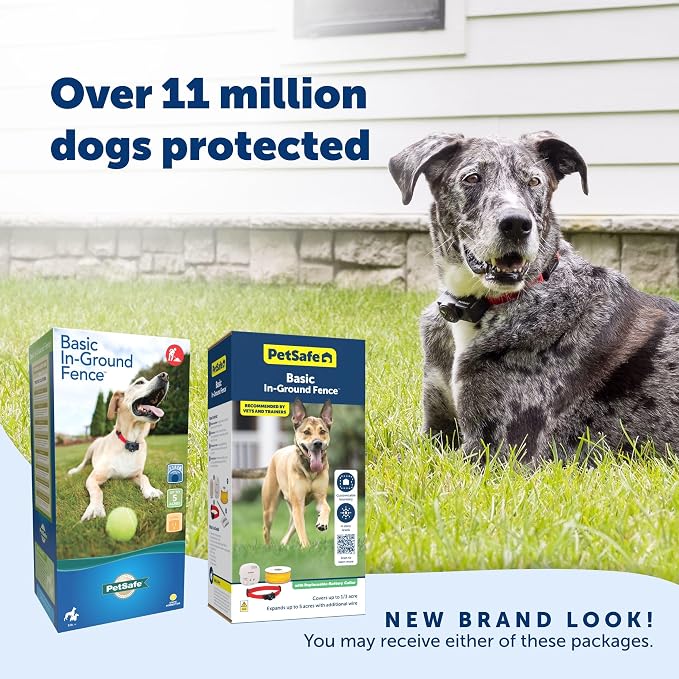 PetSafe Basic In-Ground Fence, Up to 1/3 Acre