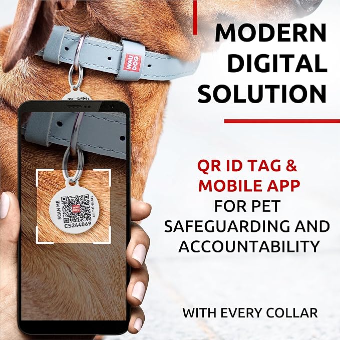 WAUDOG Genuine Leather Dog Collar Adjustable Large Medium Small QR Code Tag