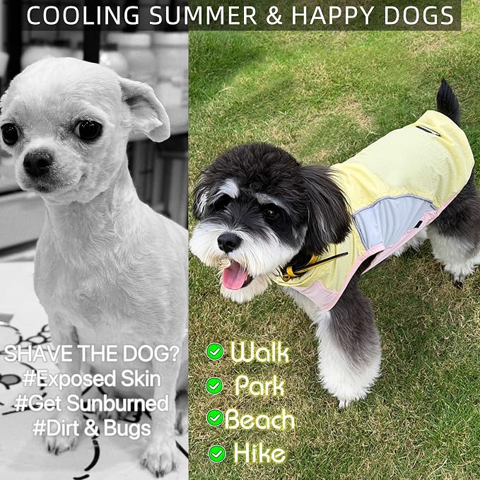 Dog Sun Protection Cooling Shirt,UPF 50+ UV Protection,Lightweight Breathable Cooling Vest, Sunblock Summer Clothes for Dogs (Cheese Yellow, XL, Pull On)