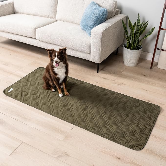 PetAmi Waterproof Couch Cover for Dog Nonslip Bed Sofa Blanket, 30x70 Green | Leakproof Furniture Protector for Pet Cat, Machine Washable Pee Proof Mat for Chair Car Seat, Durable & Anti Slip Backing