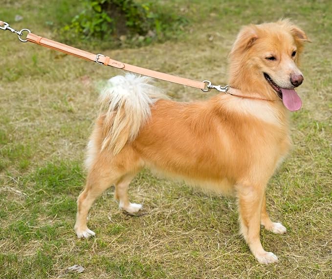 Airtag Luxury Real Leather | Genuine Leather Soft Padded Dog Collar for Medium Large Dogs Ultra | Leather with Anti -Rust Hardware (Size - XL) Fits Neck 21, 22, 23, 24 & 25 inches