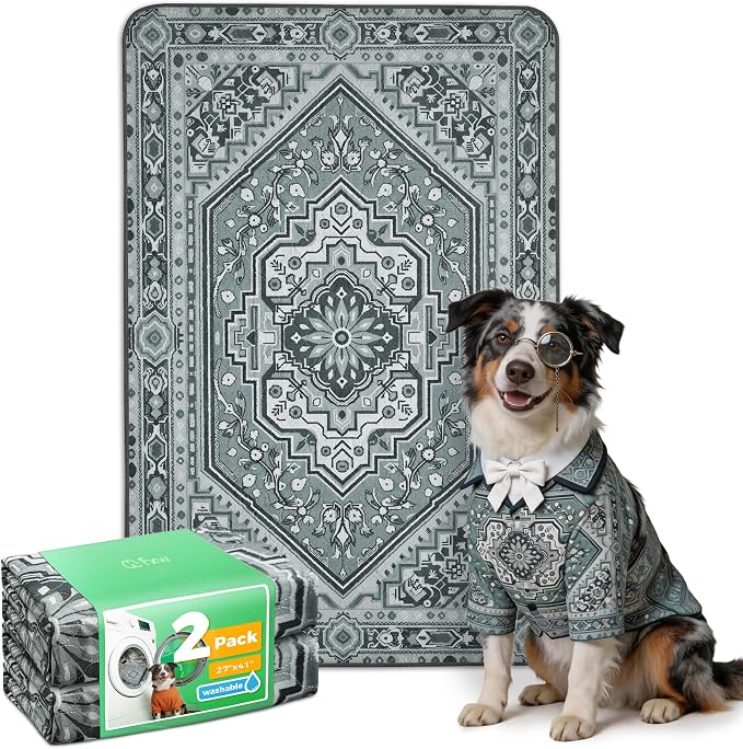 FXW Washable Pee Pads for Dogs, Super Absorbent, 27" x 41", 2 Packs | Machine washable, Non-slip backing