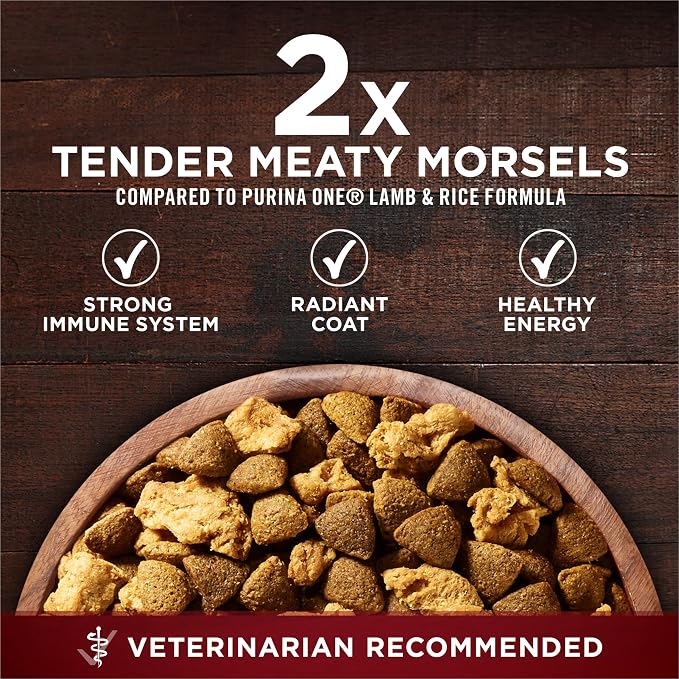 Purina ONE True Instinct Dry Dog Food, Real Salmon & Tuna, 36 lb Bag | Nutrient dense, with 30% protein to help support strong muscles, natural with added vitamins, minerals and nutrients
