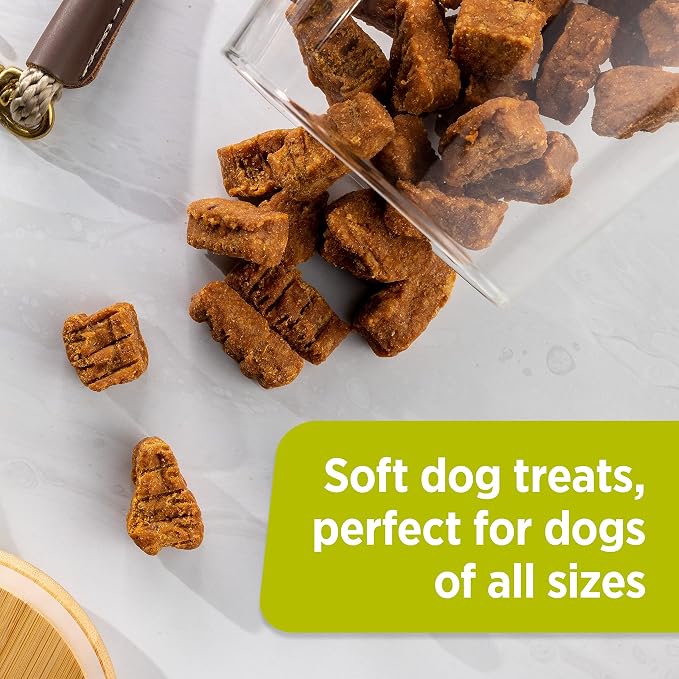 Nutrish Savory Roasters Chicken Recipe Premium Dog Treats, 12 oz. Pouch (Rachael Ray) (Pack of 2)