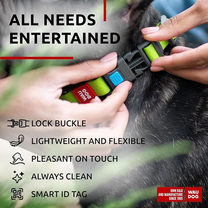 WAUDOG Waterproof Dog Collar Airtag Holder QR Tag Small Medium Large Dogs | Water and Dirt Resistant, Quick Dry QR Pet Tag Adjustable Durable Comfort for Male and Female Dogs Outdoor Walking Training