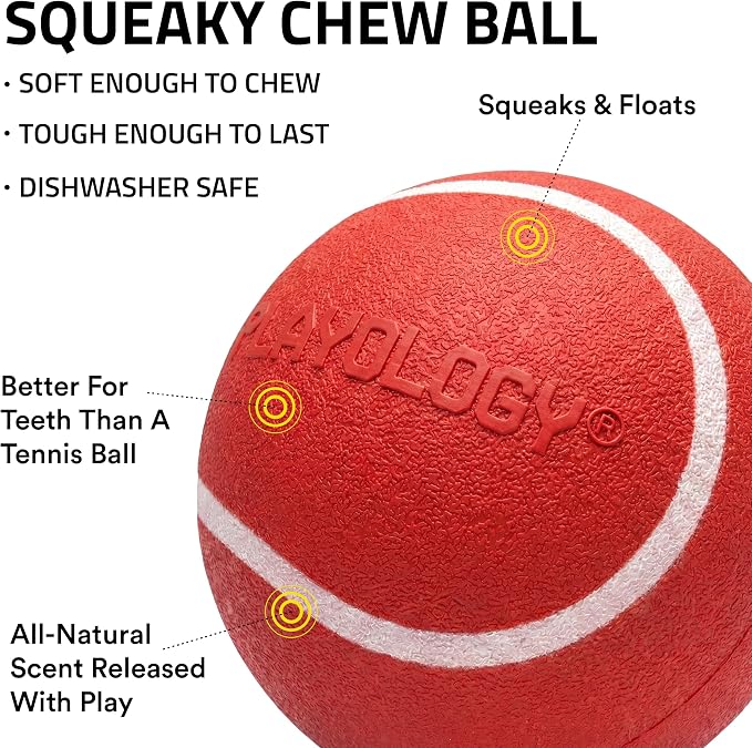 Playology Squeaky Chew Ball Dog Toy - Medium, Beef Scent, 2-Pack