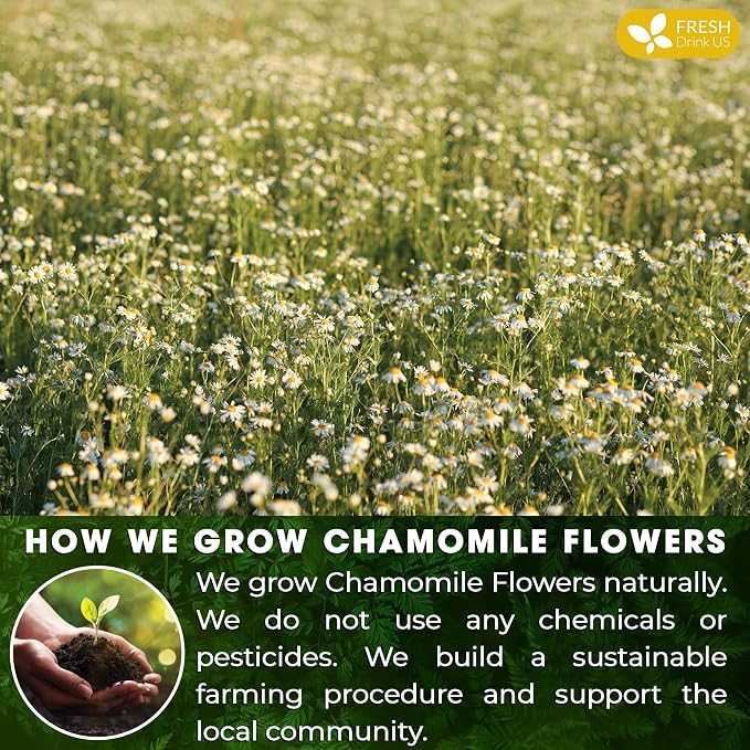FRESHDRINKUS, 135 Chamomile Tea Bags, 100% Natural and Pure Chamomile Flowers, Eco-conscious Tea Bags. Chamomile Flower Herbal Tea. No Sugar, No Caffeine, No Gluten, Vegan.