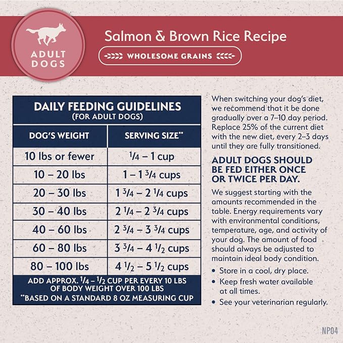 Natural Balance Limited Ingredient, Salmon & Brown Rice, 4 lb | Dry Dog Food with Wholesome Grains, Balanced Nutrition for Adult Dogs with Sensitivities, Skin and Stomach Support