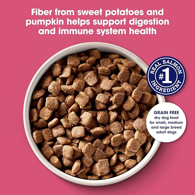 Nature's Recipe Grain Free Dry Dog Food, Salmon, Sweet Potato & Pumpkin Recipe, 12 lb. Bag | Fiber From Sweet Potatoes & Pumpkin Helps Support Digestion and Immune System Health