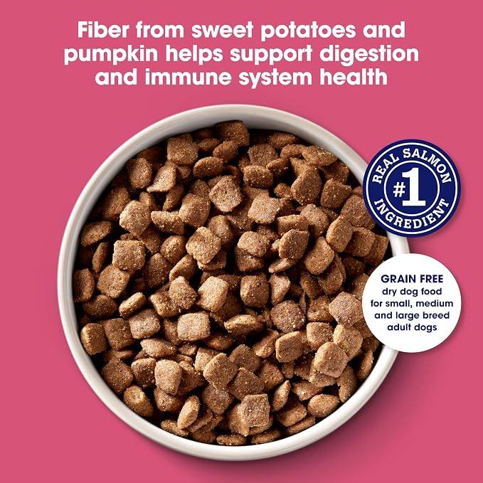 Nature's Recipe Grain Free Salmon Dry Dog Food, 24 lb. Bag | Fiber From Sweet Potatoes & Pumpkin Helps Support Digestion and Immune System Health