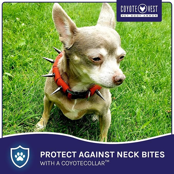 CoyoteCollar Spike Dog Collar, Adj/Replaceable Spikes, Small, Orange