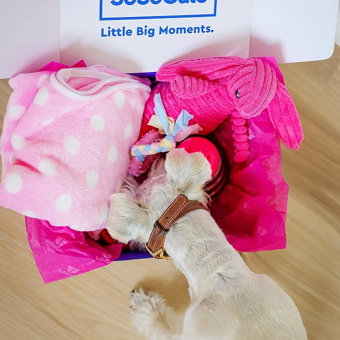 Puppy Starter Kit – 5pc Dog Toy Gift Set for Small Dogs – Blanket, Squeaky Plush, Teething Ring, Treat Ball – New Puppy Essentials Gift Box (Pink)
