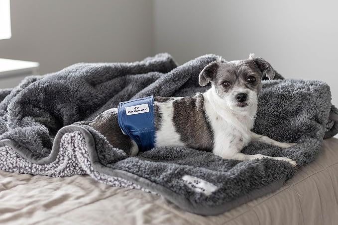 Pet Parents® Washable Belly Bands for Male Dogs (3pack) + Extendrs® of Durable Dog Diapers Male, Premium Male Dog Diapers & Dog Wraps (Medium, Kingsmen)