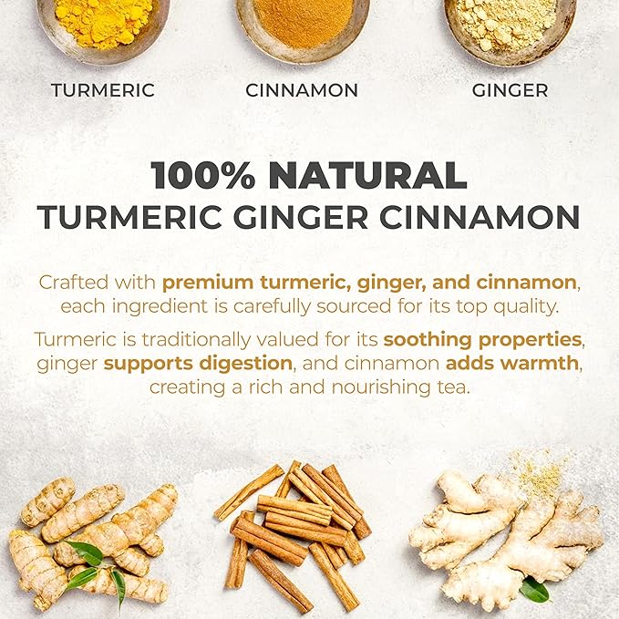 LeafLea Turmeric Ginger Tea Bags, Digestion & Immune Support, 240 Count | 100% Natural Herbal Blend With Cinnamon, Warm And Spicy Flavor, Caffeine-Free, Sugar-Free, Non-GMO, Convenient 6 Pack