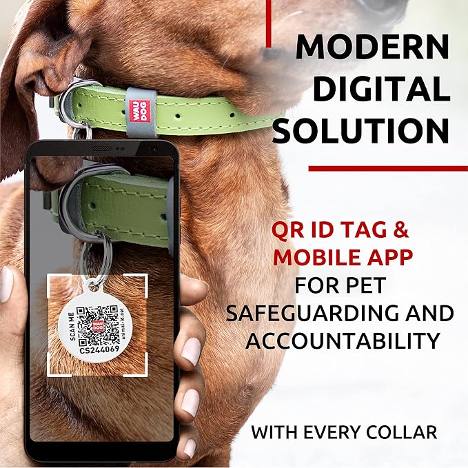 WAUDOG Genuine Leather Dog Collar Adjustable Large Medium Small QR Code Tag