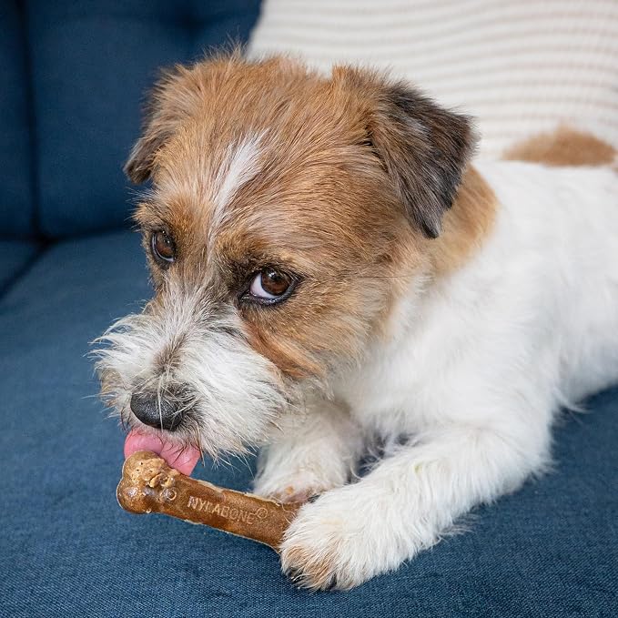 Nylabone Healthy Edibles Dog Treats, Turkey & Apple Flavor, 12 Count | X-small, made with real turkey, USA-made natural dog chews, highly digestible, long lasting chews for small dogs up to 15 lbs